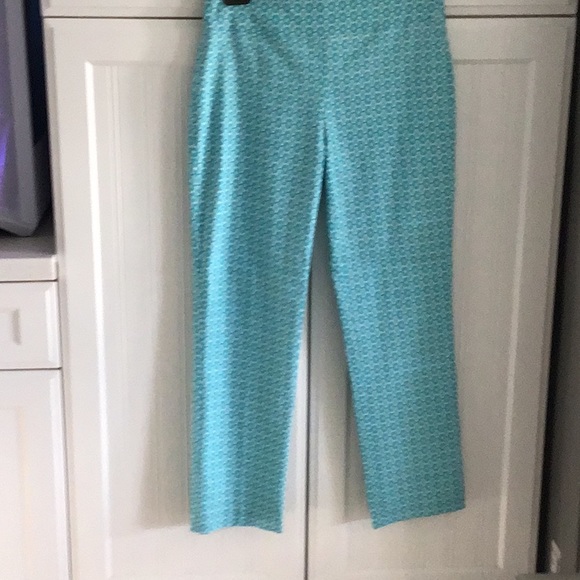 New Attyre Petite cropped. Auqua and white. 26” inseam P4 smooth waist band - Picture 2 of 5